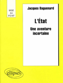 L'Etat - Une aventure incertaine