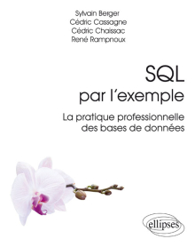 SQL par l'exemple - La pratique professionnelle des bases de données