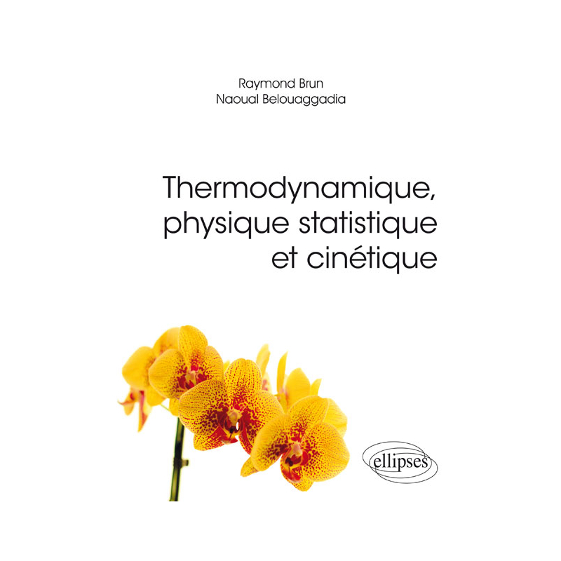 Thermodynamique, physique statistique et cinétique