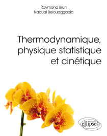 Thermodynamique, physique statistique et cinétique