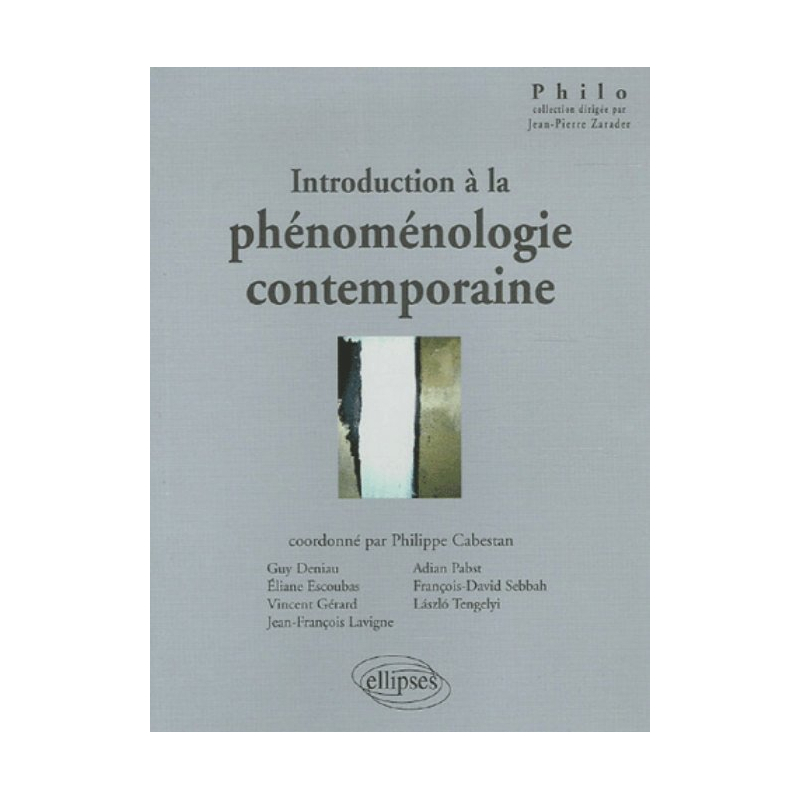 Introduction à la phénoménologie contemporaine