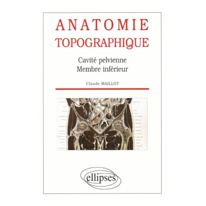 Anatomie topographique - Cavité pelvienne - Membre inférieur