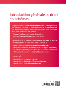 Introduction générale au droit en schémas - 3e édition