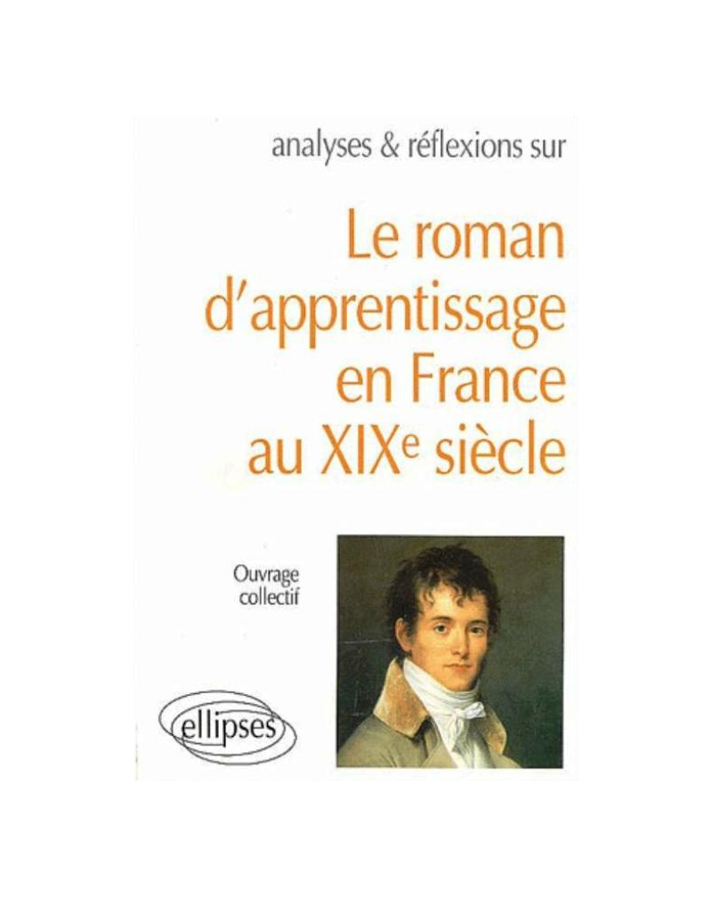 roman d'apprentissage en France XIXe siècle (Le)