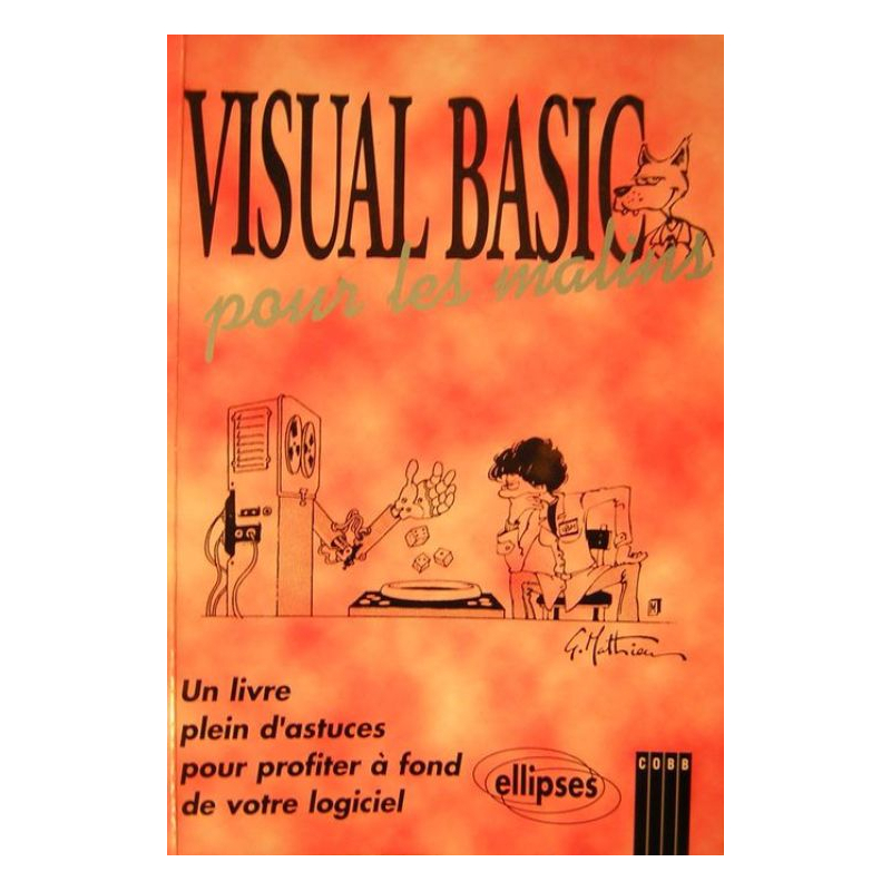 Visual Basic pour les malins