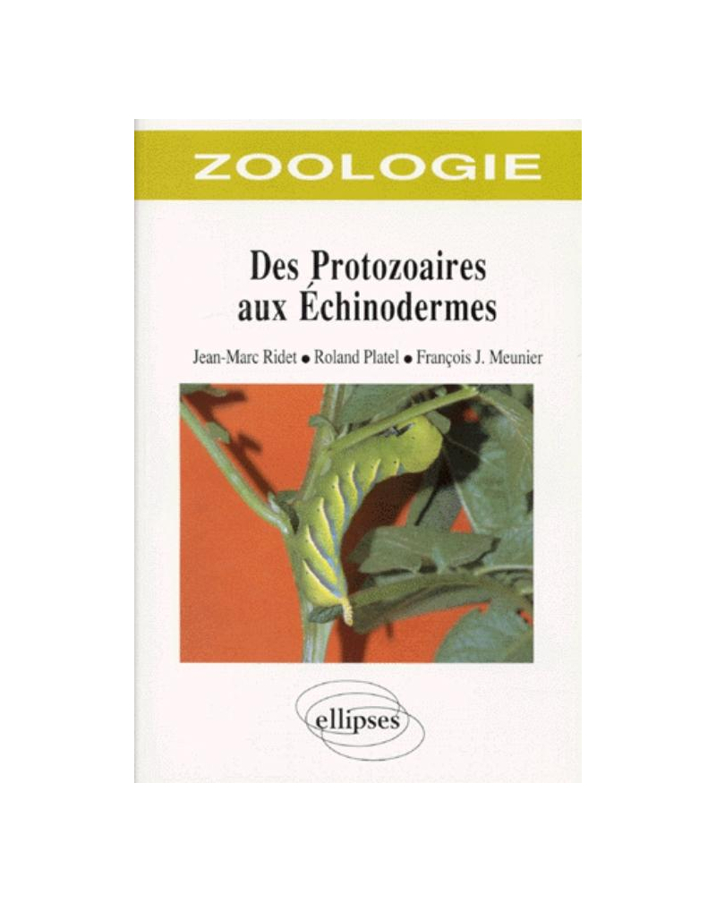 Zoologie des protozoaires aux échinodermes